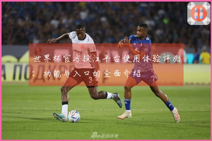 世界杯官方投注平台使用体验评测：功能与入口的全面介绍