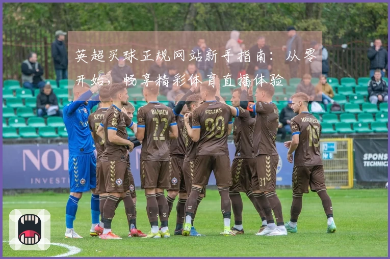 英超买球正规网站新手指南:从零开始,畅享精彩体育直播体验