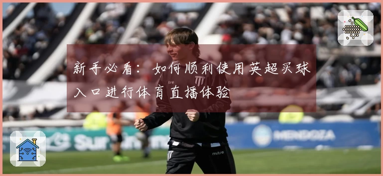 新手必看：如何顺利使用英超买球入口进行体育直播体验